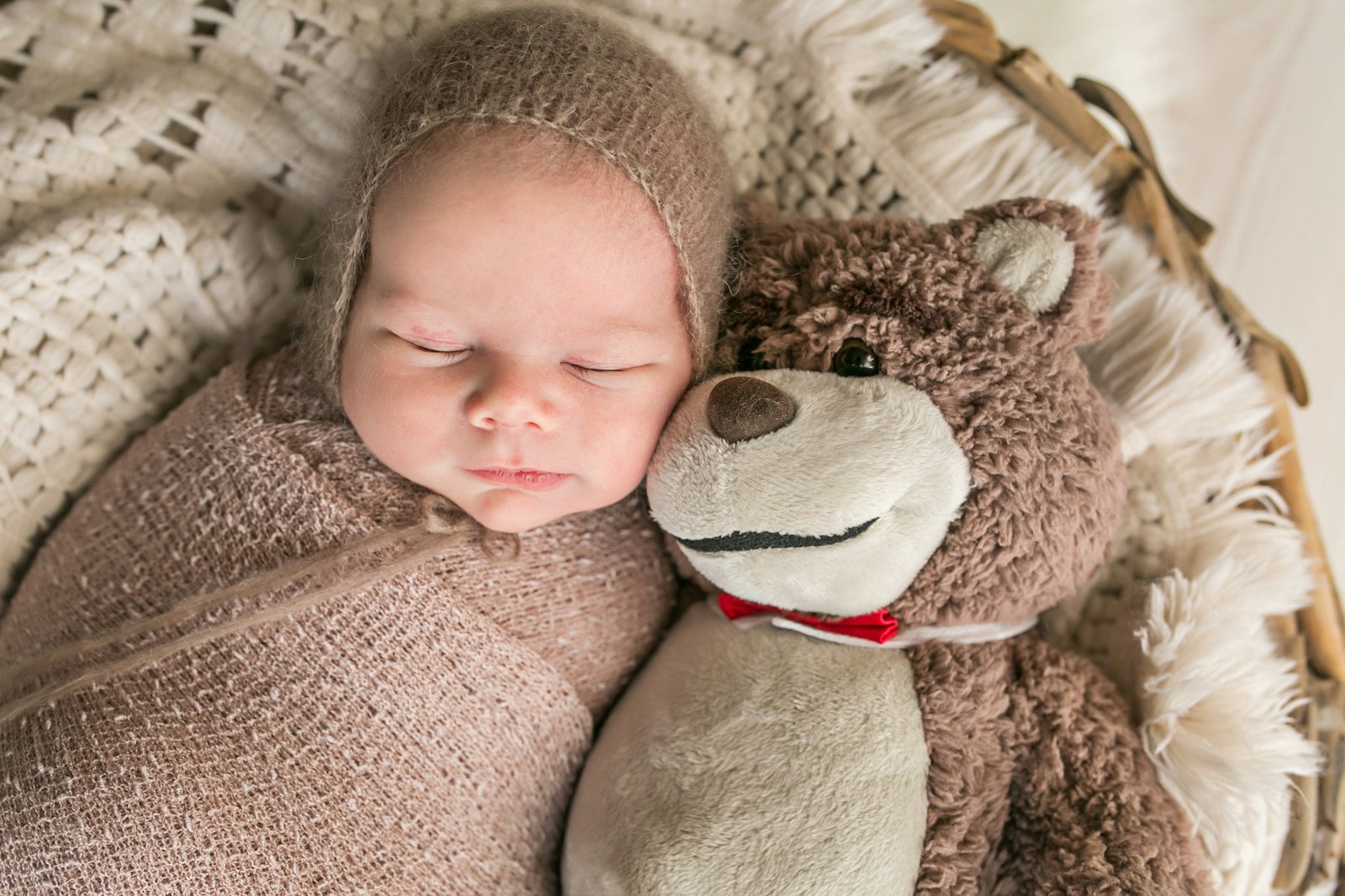 Baby Ted | 17
