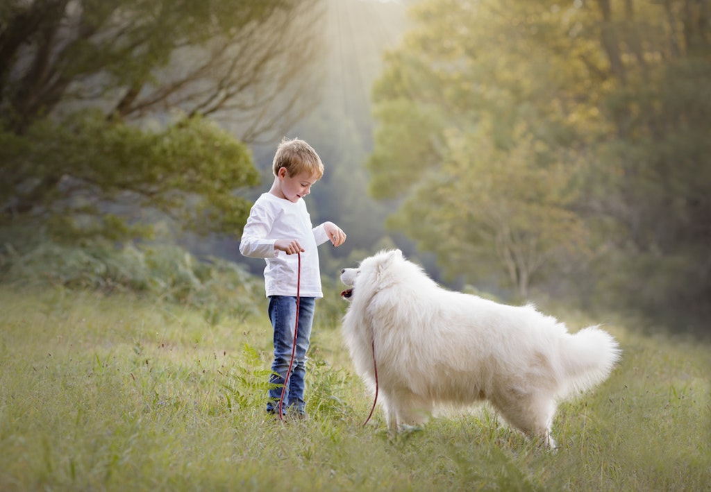 boy with dog in forest