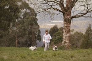 boy running with dogs